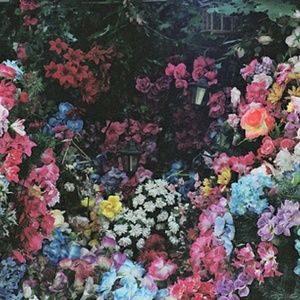 Meet your Posher, Angelique